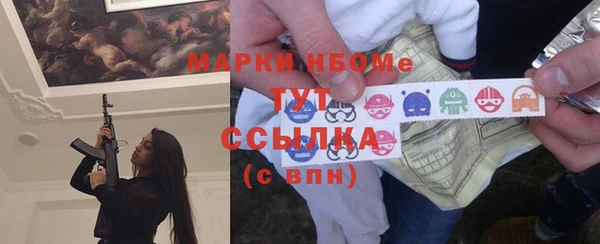 ПСИЛОЦИБИНОВЫЕ ГРИБЫ Новозыбков