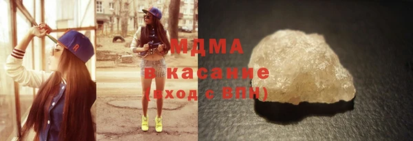 шишки Няндома