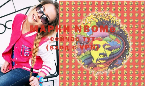 шишки Няндома