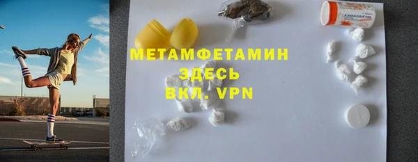 шишки Няндома
