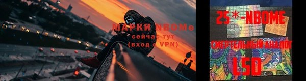 шишки Няндома
