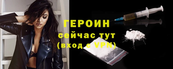 шишки Няндома