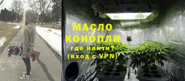 шишки Няндома