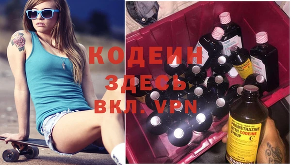 индика Бердск