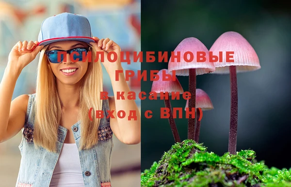 PSILOCYBIN Новодвинск