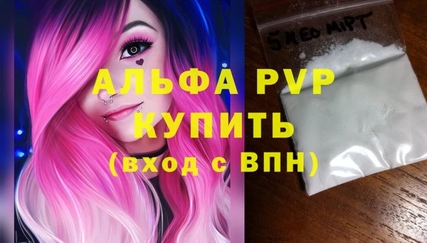 ПСИЛОЦИБИНОВЫЕ ГРИБЫ Новозыбков