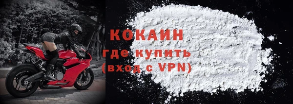 индика Нягань