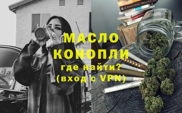индика Нягань