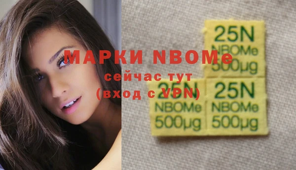 ПСИЛОЦИБИНОВЫЕ ГРИБЫ Новозыбков