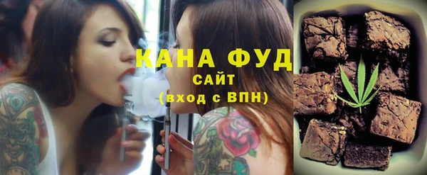 индика Нягань