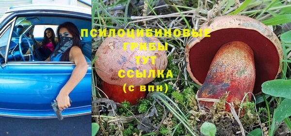 PSILOCYBIN Новодвинск