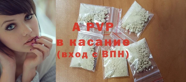 ПСИЛОЦИБИНОВЫЕ ГРИБЫ Новозыбков