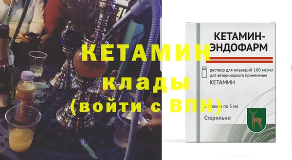 ПСИЛОЦИБИНОВЫЕ ГРИБЫ Новозыбков