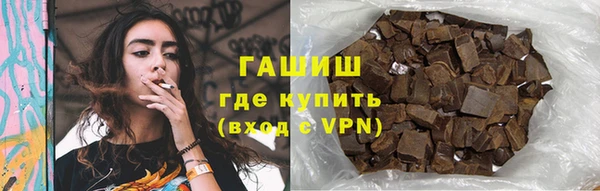 индика Нягань