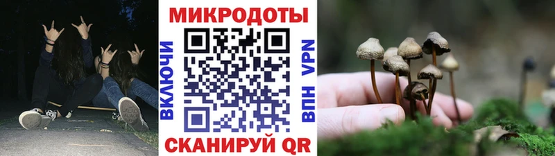 omg ссылки  Великий Новгород  Галлюциногенные грибы Cubensis 