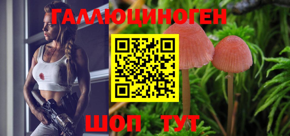 Галлюциногенные грибы Magic Shrooms  Галлюциногенные грибы мицелий  Великий Новгород  Вход с VPN 
