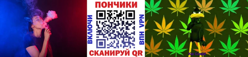 Бошки марихуана THC 21%  Великий Новгород 