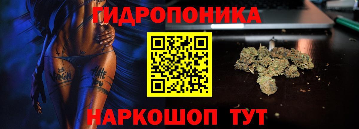 Марихуана семена  Вход с VPN  Великий Новгород  Канабис VHQ  Канабис SATIVA & INDICA 